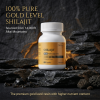 Shilajit Extract 550mg with Ashwagandha for Men and Women – Energy, Stamina & Vitality Support and More, 60 Capsules