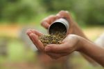 Take A Breather, Herbal Facial Steam