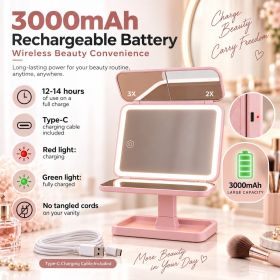 LED Lighted Vanity Mirror with 1X/2X/3X Magnification (Color: Pink)